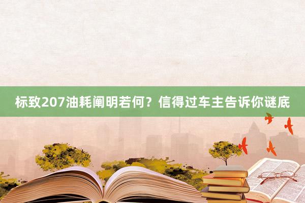 标致207油耗阐明若何？信得过车主告诉你谜底